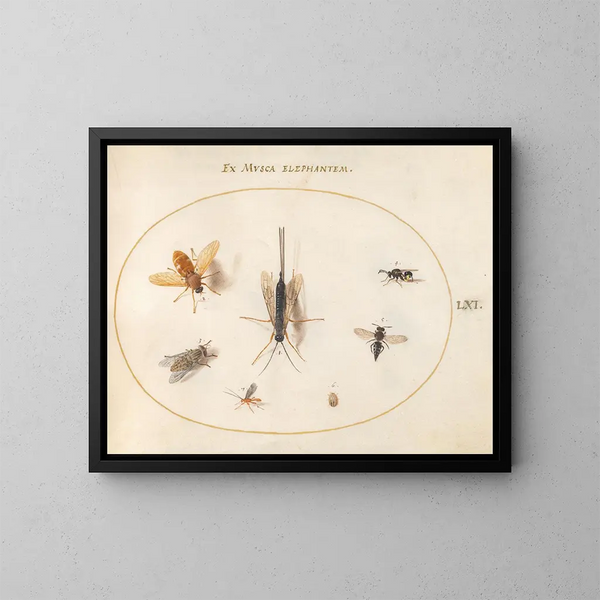 Platinen-Gemälde 61 Sept Insekten, darunter Fliegen - Joris Hoefnagel — gerahmtes Bild an der Wand