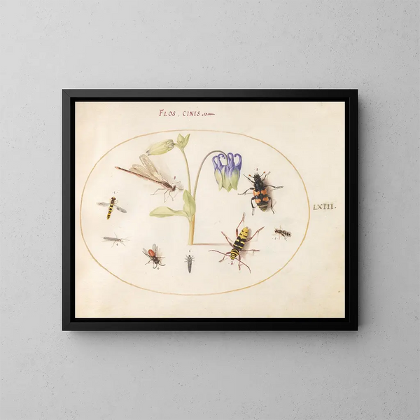 Pflanze 63 Eine Libelle, ein gepunkteter Langhornkäfer, ein Nécrophore und andere Insekten mit einer blauen und weißen Columbine - Joris Hoefnagel — gerahmtes Bild an der Wand