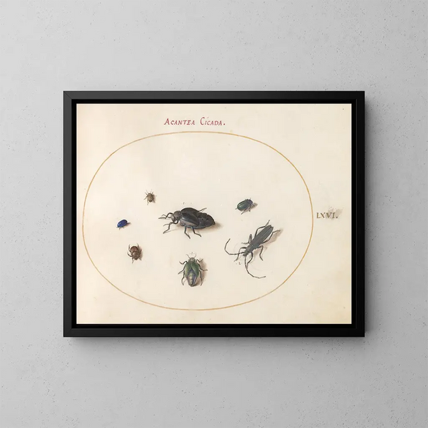 Platinen-Gemälde 66 Zwei ölige Käfer, ein Langhornkäfer und vier weitere Insekten - Joris Hoefnagel — gerahmtes Bild an der Wand