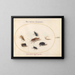 Platino 67 Set di insetti, tra cui una farfalla bianca e un'ape - Joris Hoefnagel — quadro incorniciato alla parete