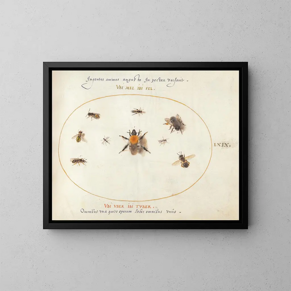 Platine 69 Neu Bienen und andere Insekten - Joris Hoefnagel — gerahmtes Bild an der Wand