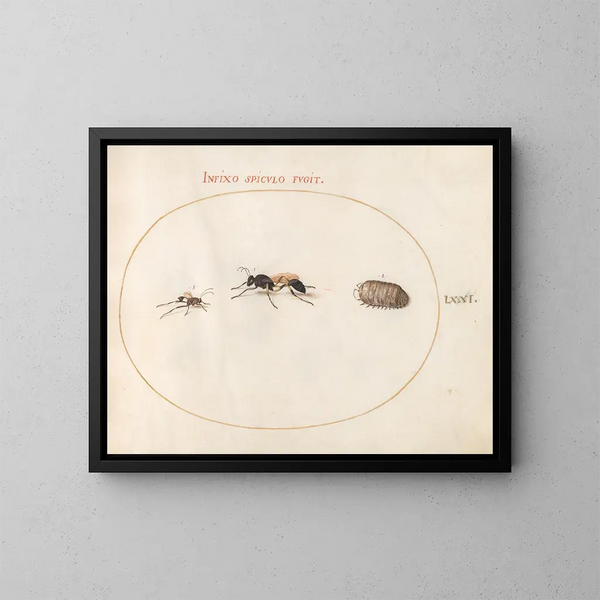 Platinen-Gemälde 71 Zwei Wespen und ein Meerschweinchen - Joris Hoefnagel — gerahmtes Bild an der Wand