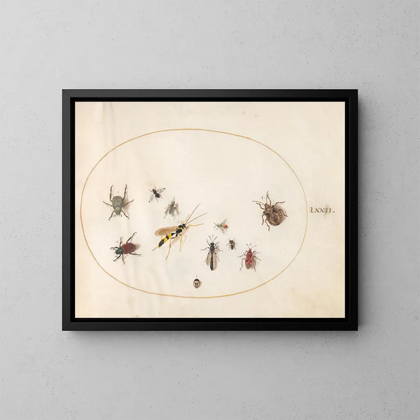Platine 72: Schildläuse, Zimtwanze, Wespe und andere Insekten - Joris Hoefnagel — gerahmtes Bild an der Wand