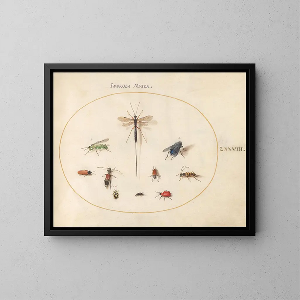 Planche 78 Zehn Insekten, darunter eine blaue Fliege - Joris Hoefnagel — gerahmtes Bild an der Wand