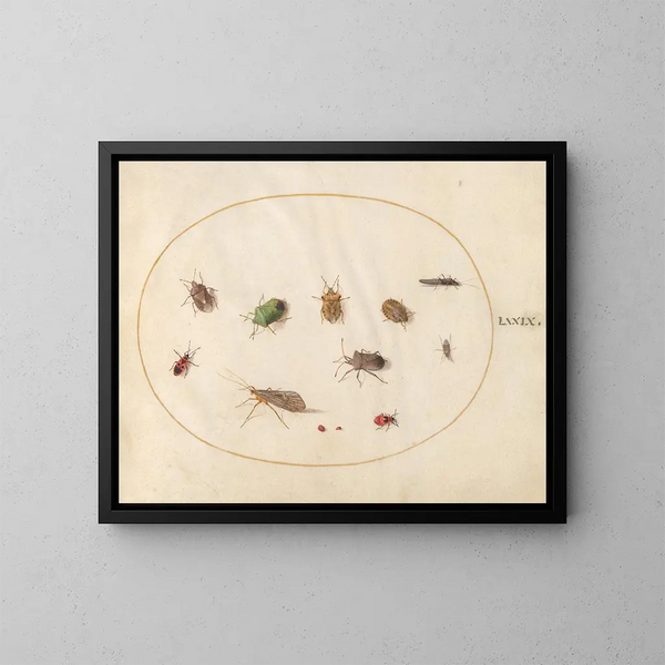 Platinen-Gemälde 79 Zwölf Insekten, darunter Wanzen - Joris Hoefnagel — gerahmtes Bild an der Wand