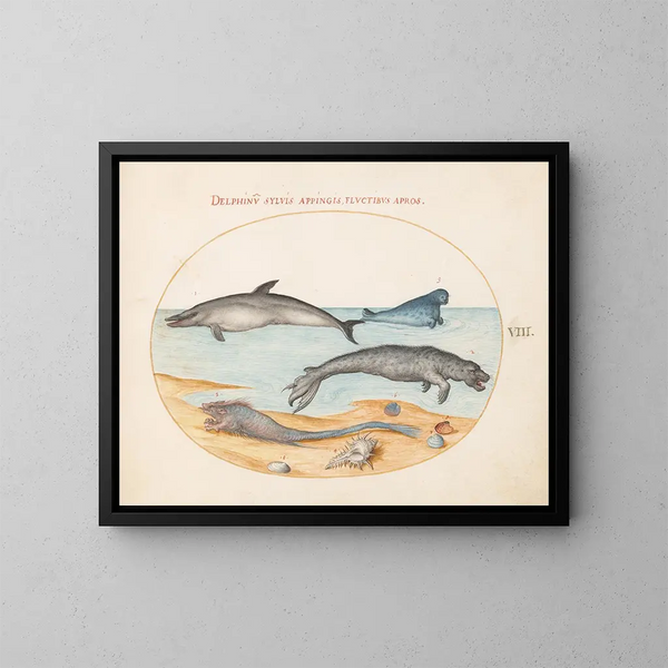 Platinen-Gemälde 8: Ein Delfin, zwei Robben, ein Brustbein und Muscheln - Joris Hoefnagel — gerahmtes Bild an der Wand