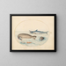 Platinen-Gemälde 9 Ein großer Weißer Hai, zwei Robben und zwei Fische - Joris Hoefnagel — gerahmtes Bild an der Wand