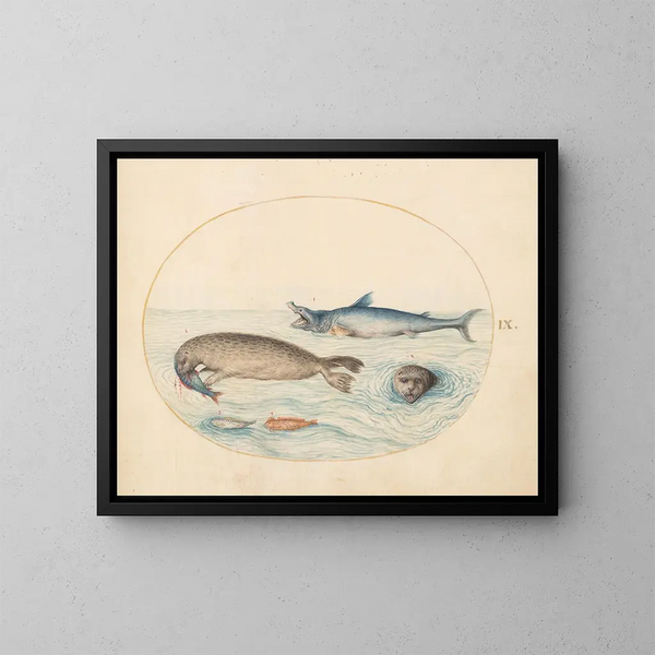 Platinen-Gemälde 9 Ein großer Weißer Hai, zwei Robben und zwei Fische - Joris Hoefnagel — gerahmtes Bild an der Wand