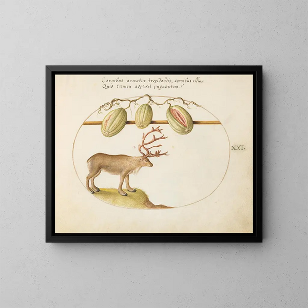 Renne mit Melonen - Joris Hoefnagel — gerahmtes Bild an der Wand