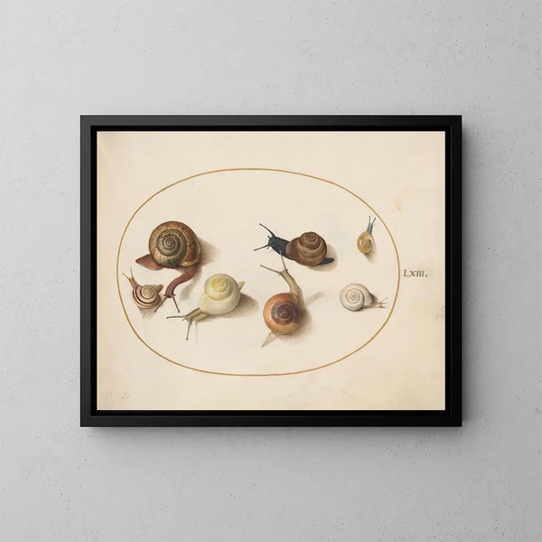 Sept escargots - Joris Hoefnagel — gerahmtes Bild an der Wand