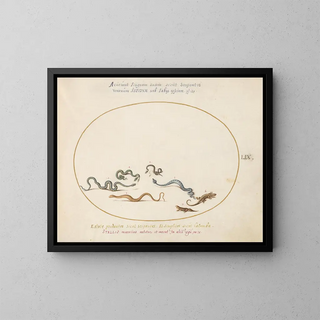 Joris Hoefnagel - Snakes and a Lizard.webp