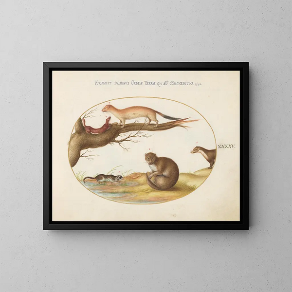 Furets, ein Furet und eine Nussmaus - Joris Hoefnagel — gerahmtes Bild an der Wand