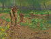 Ernte von Kartoffeln - Josef Kinzel — Ansicht des Kunstwerks