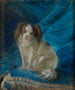 Portrait eines Gentlemans - Josef Melling — Ansicht des Kunstwerks