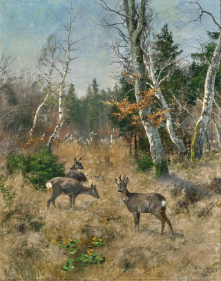 Josef Schmitzberger - Red Deer in a Forest Glade.webp