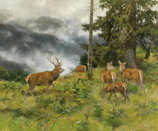 Hirsch im Morgendunst - Josef Schmitzberger — Ansicht des Kunstwerks