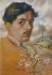 Autoportrait - Josef Wawra — vista dell’opera