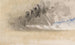 Le Carnet de Croquis de la Manche 35 - Joseph Mallord William Turner — Ansicht des Kunstwerks