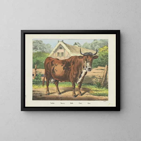 Vache - Joseph Scholz — quadro incorniciato alla parete