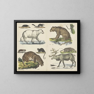 Joseph Scholz - Dieren.webp