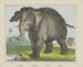 Elephant Painting - Joseph Scholz — artwork view