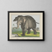 Elephant Painting - Joseph Scholz — framed artwork on a wall