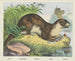 Flussotter - Joseph Scholz — Ansicht des Kunstwerks