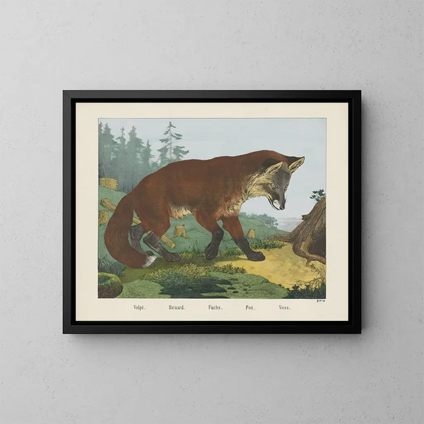 Renard - Joseph Scholz — quadro incorniciato alla parete