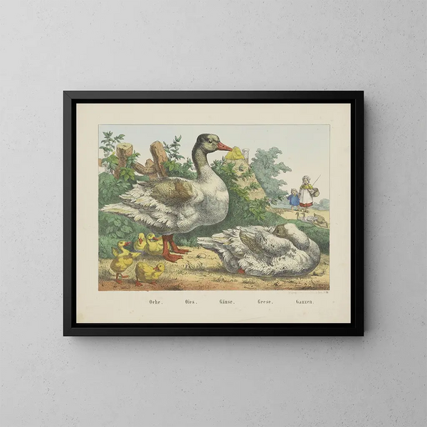 Oche - Joseph Scholz — quadro incorniciato alla parete