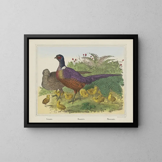 Joseph Scholz - Pheasants.webp
