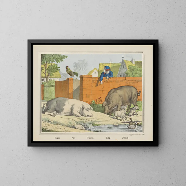 Maiali - Joseph Scholz — quadro incorniciato alla parete