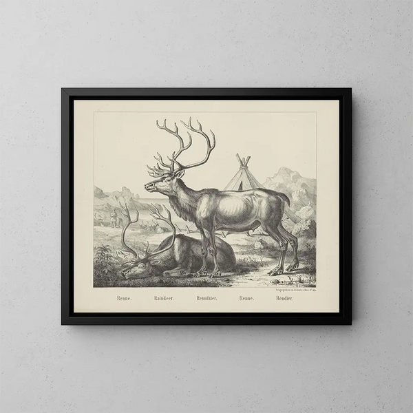 Renne - Joseph Scholz — quadro incorniciato alla parete