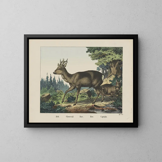 Joseph Scholz - Roe.webp