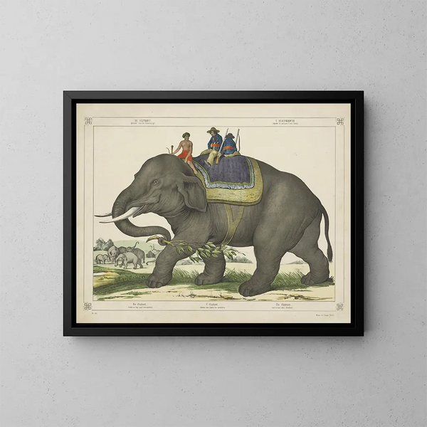 L'éléphant chassait d'autres éléphants - Joseph Scholz — quadro incorniciato alla parete