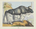 Yack - Joseph Scholz — Ansicht des Kunstwerks