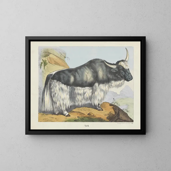Yack - Joseph Scholz — quadro incorniciato alla parete