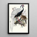 Euplocomus nycthemerus - Joseph Smit — gerahmtes Bild an der Wand