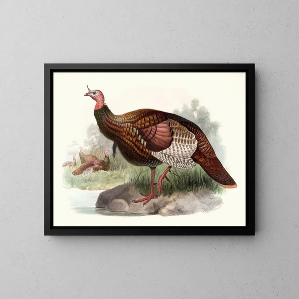 Wildente - Joseph Smit — gerahmtes Bild an der Wand