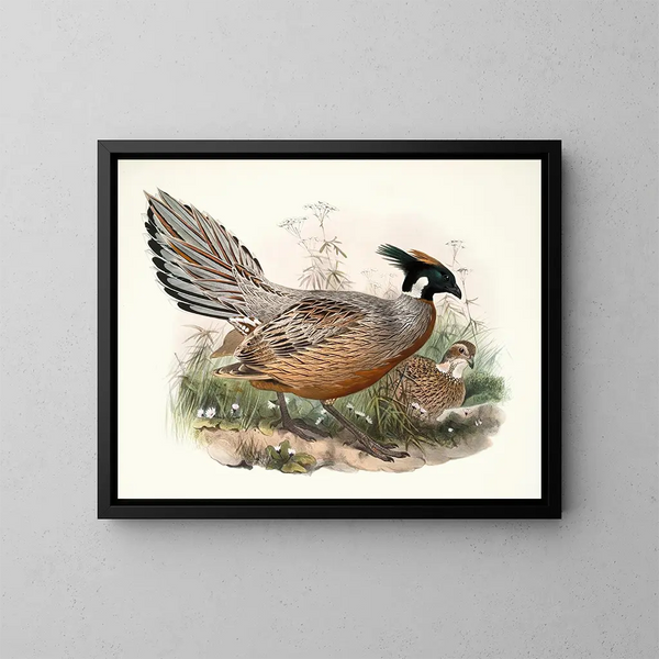 Purcasie de Darwin - Joseph Smit — gerahmtes Bild an der Wand