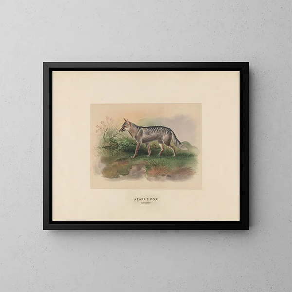 Renard d'Azara - Joseph Wolf — quadro incorniciato alla parete