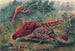 Pheasant de Soemmerring - Joseph Wolf — artwork view