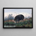 The Pig of the Andaman - Joseph Wolf — framed artwork on a wall