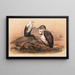 Le vautour angolais - Joseph Wolf — quadro incorniciato alla parete