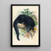 Le Binturong - Joseph Wolf — quadro incorniciato alla parete
