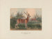Der Hirsch von Formosa - Joseph Wolf — Ansicht des Kunstwerks