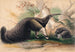 Der große Ameisenbär - Joseph Wolf — Ansicht des Kunstwerks