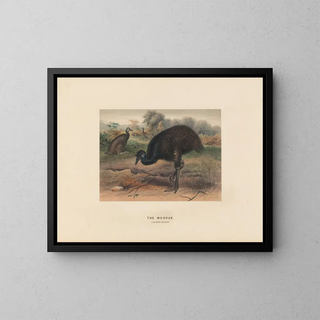 Joseph Wolf - The Mooruk.webp