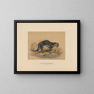 Joseph Wolf - The Painted Ocelot.webp