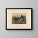 Der Fasan mit roter Schwanzfeder - Joseph Wolf — gerahmtes Bild an der Wand