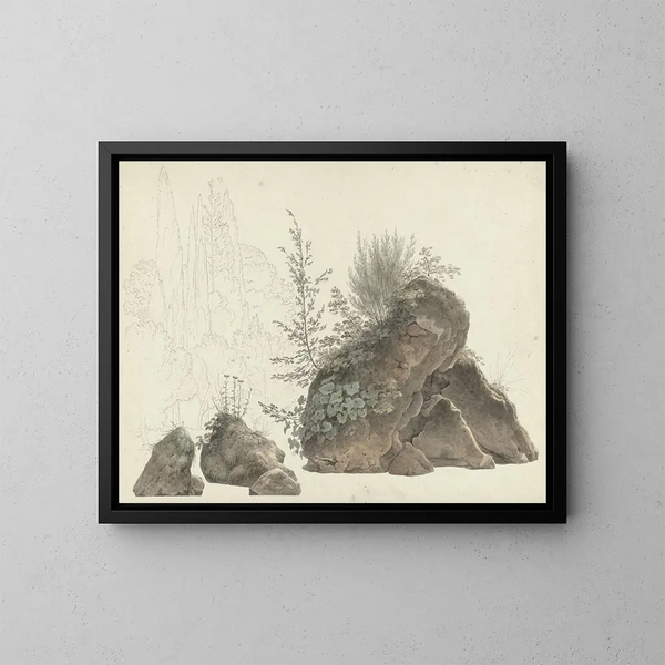 Rochers envahis - Josephus Augustus Knip — quadro incorniciato alla parete